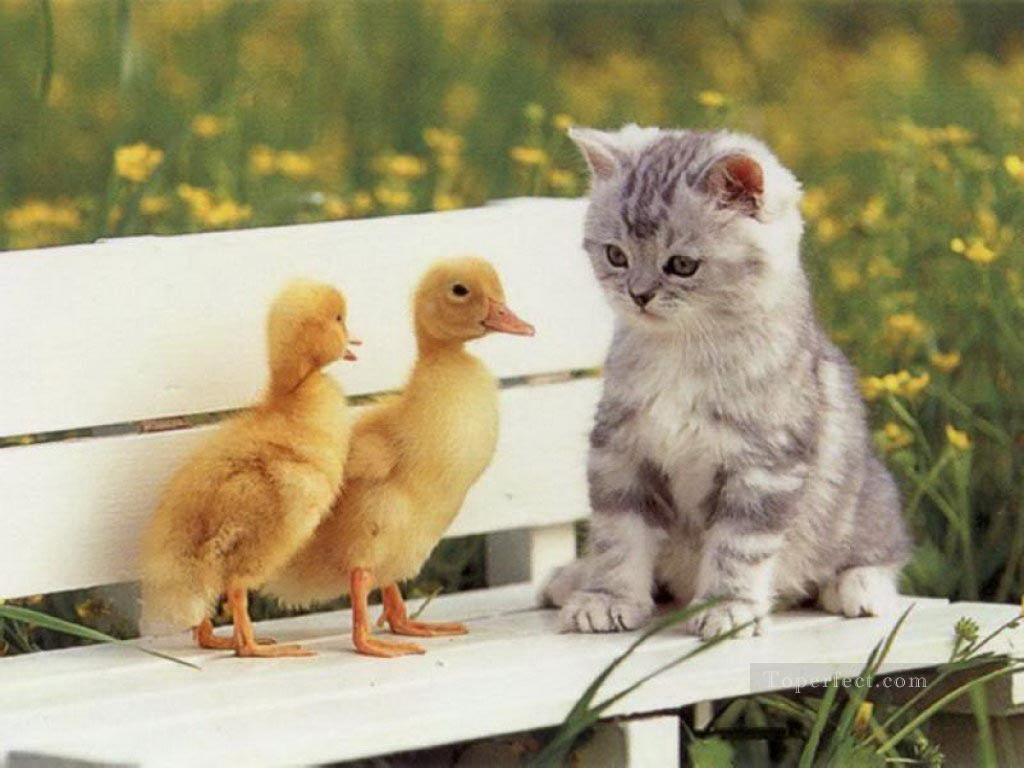 Katze und Enten Ölgemälde